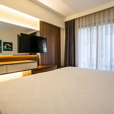Akyaka Viya Otel 阿奇亚卡