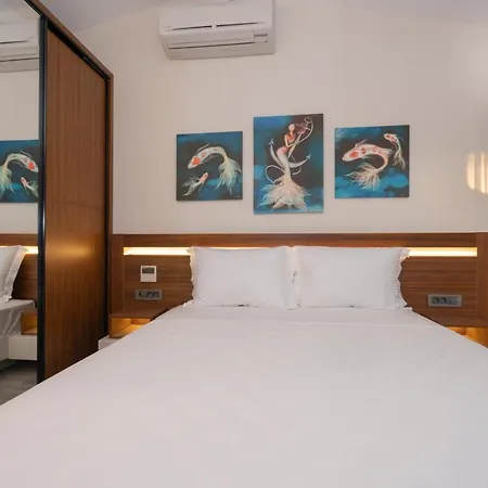 Akyaka Viya Otel 酒店