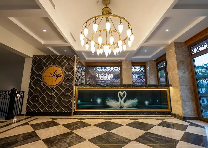 Hotell Akyaka Viya Otel *
