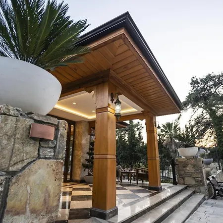 Akyaka Viya Otel