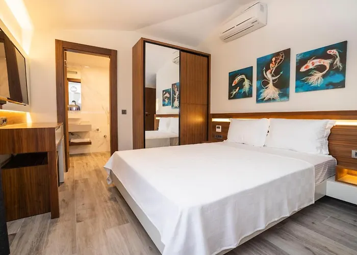 Akyaka Viya Otel Акьяка